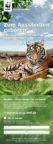 Freianzeigen Abizeitung WWF Tiger Vorschaudatei